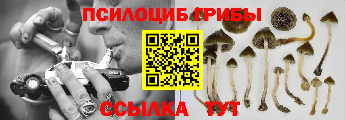 Белогорск  Галлюциногенные грибы Magic Shrooms  продажа наркотиков  Вход с VPN 